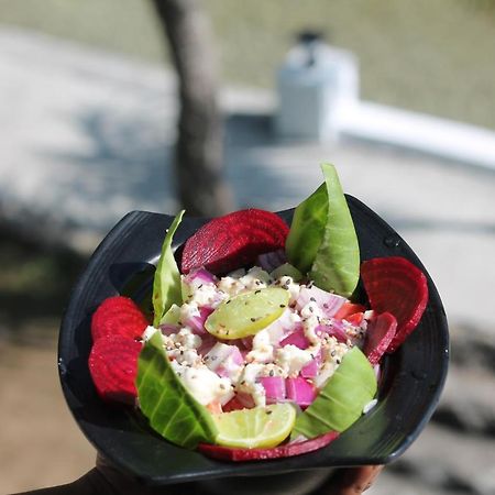 Shivanjal Wellness And Accommodation Risikés Kültér fotó