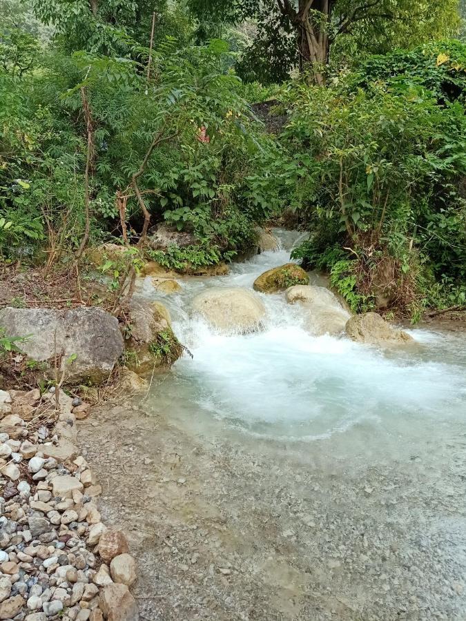 Shivanjal Wellness And Accommodation Risikés Kültér fotó