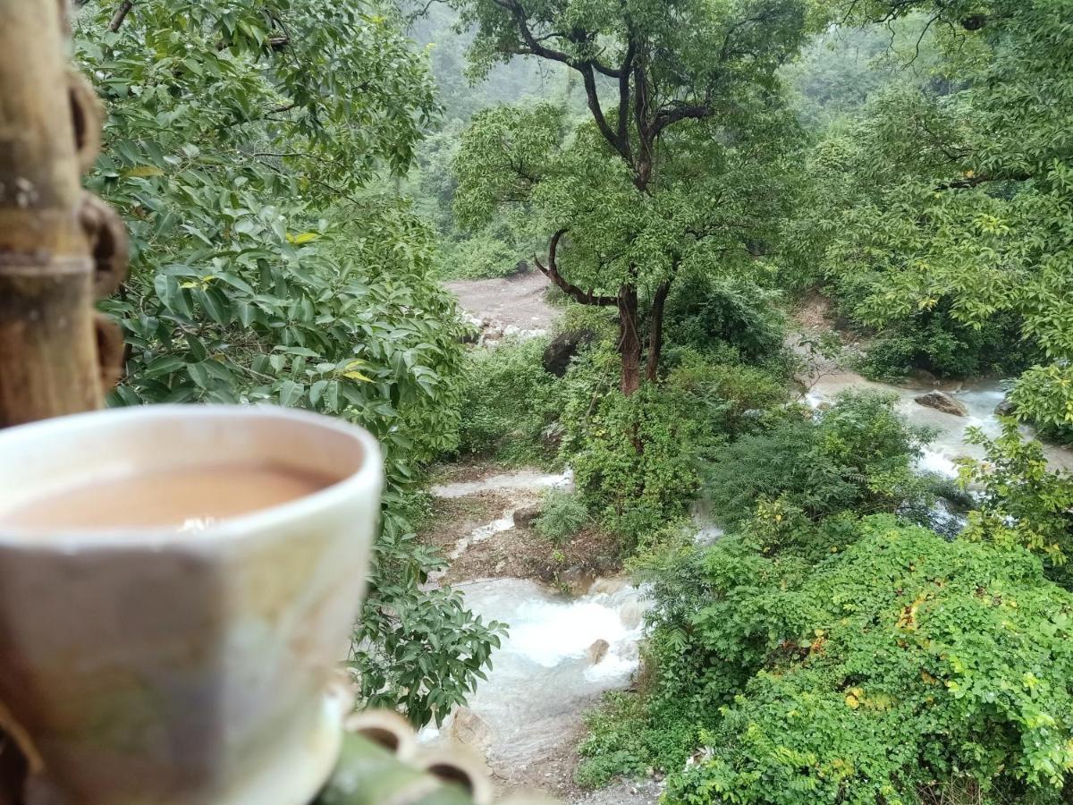 Shivanjal Wellness And Accommodation Risikés Kültér fotó