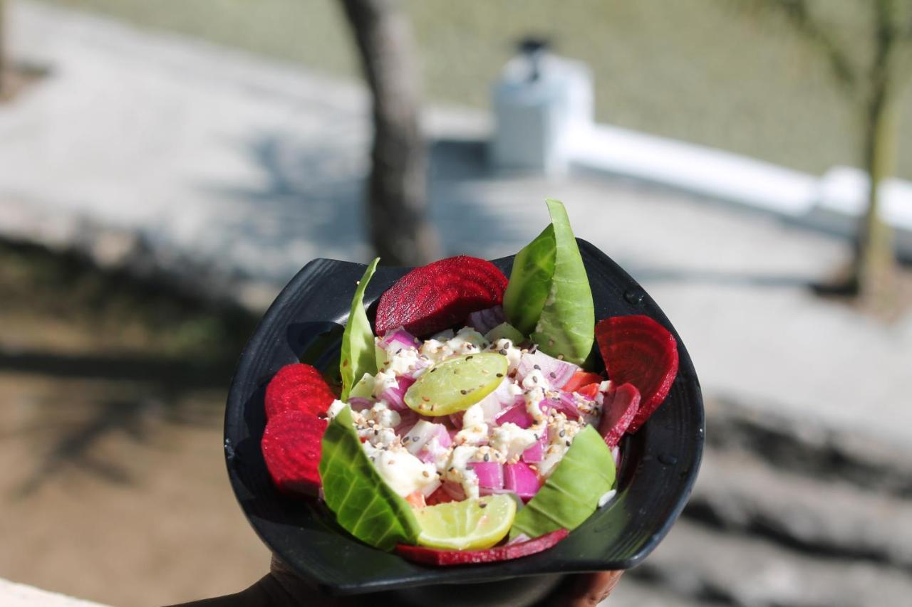 Shivanjal Wellness And Accommodation Risikés Kültér fotó